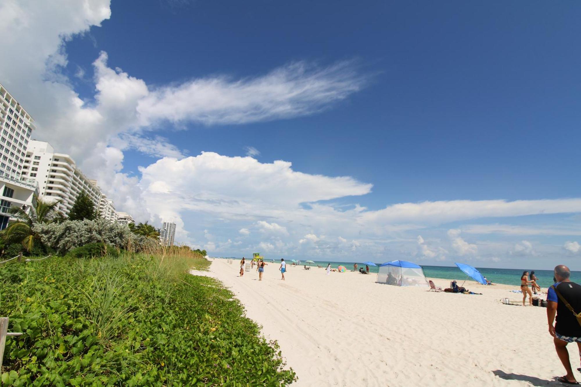 Castle Pavillon 8 Beachfront - Private Beach Access Loft With 2-Story, Pool, Tennis, Free Parking Access Miami Beach Zewnętrze zdjęcie